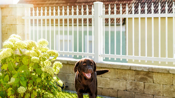 Bildquelle: GUARDI GmbH